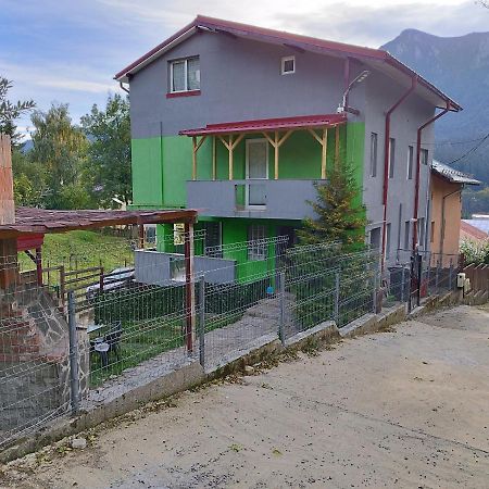 Vila Cri Cri Buşteni エクステリア 写真