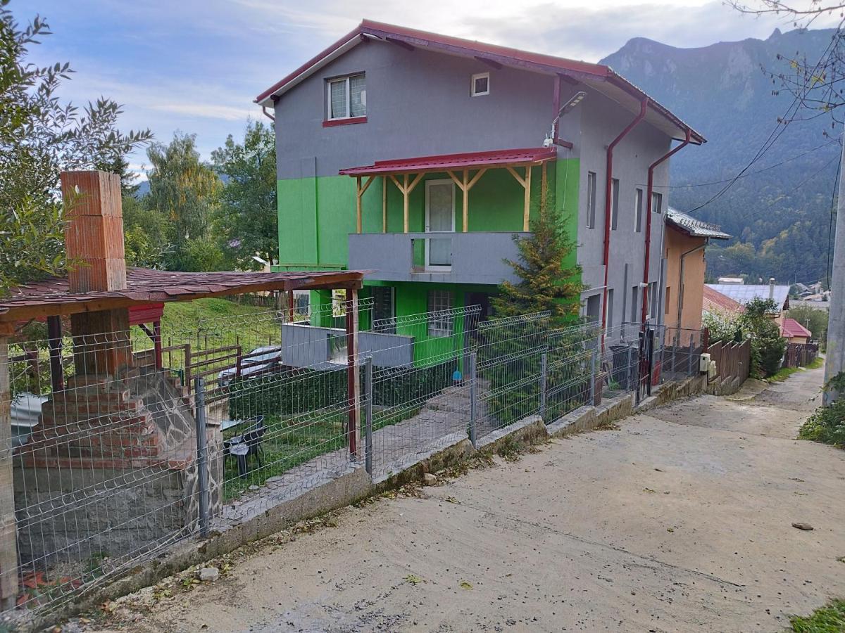 Vila Cri Cri Buşteni エクステリア 写真