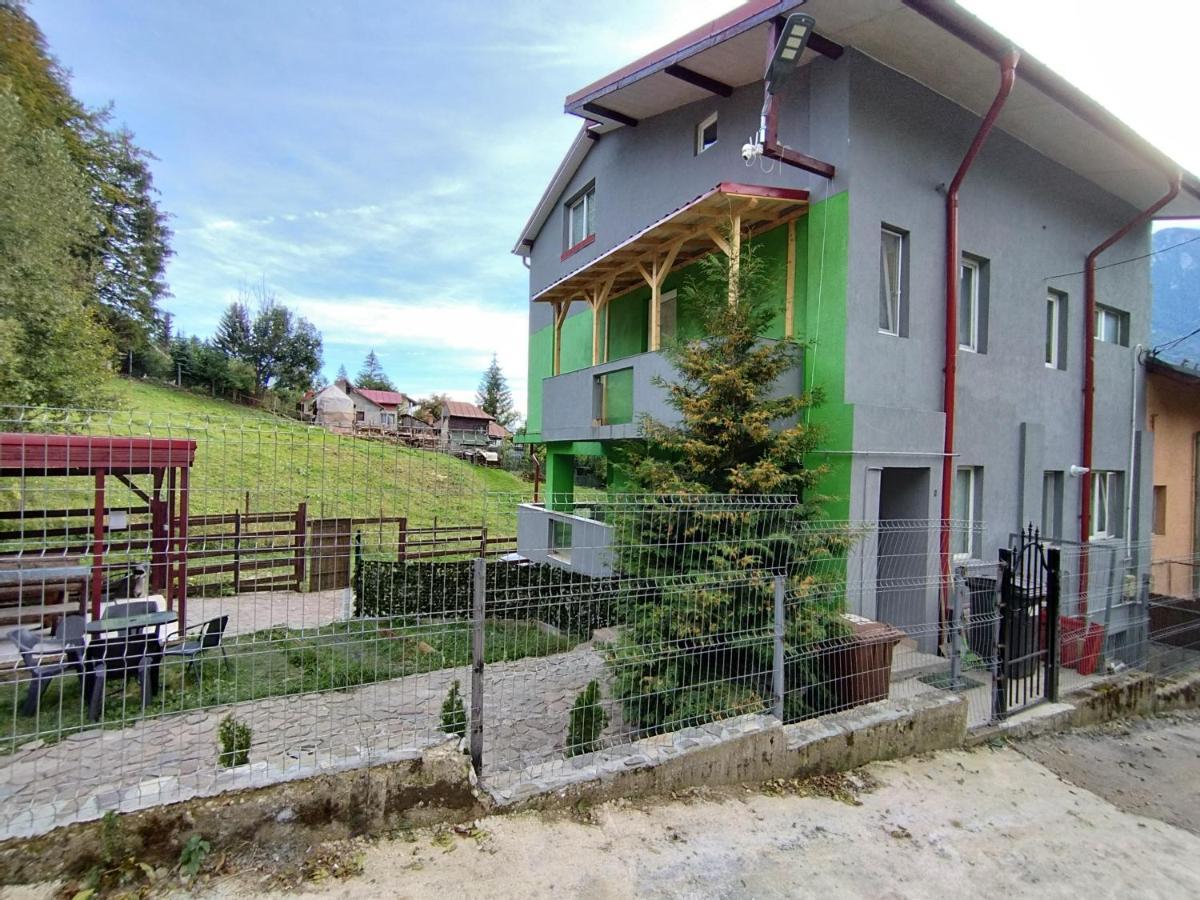 Vila Cri Cri Buşteni エクステリア 写真
